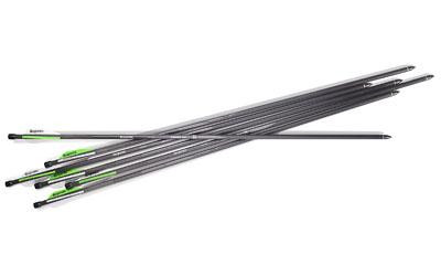 BENJAMIN PIONEER AIRBOW ARROWS 6