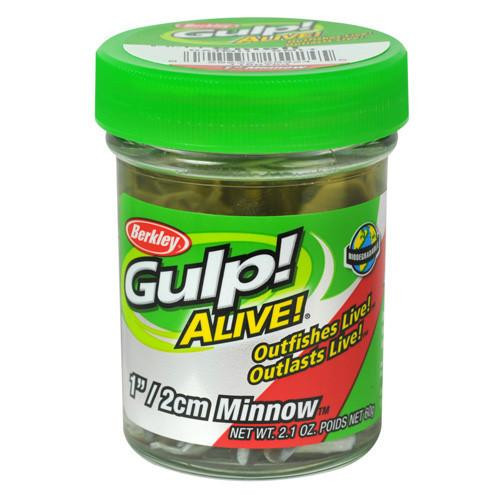 Berkley Gulp! Alive! Minnow, 1" Smelt