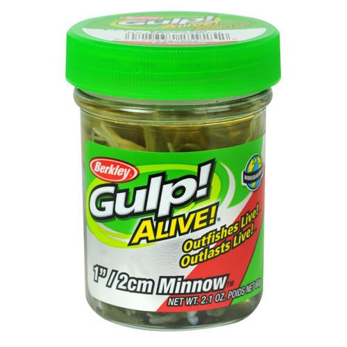 Berkley Gulp! Alive! Minnow, 1" Watermelon Pearl