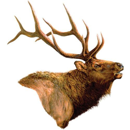 Rivers Edge Products Auto Magnet Elk