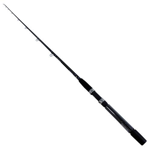 Daiwa Eliminator Boat Rod Conventional, 66