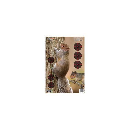 Birchwood Casey Pregame Targets Squirrel 12" x 18" (Per 8)