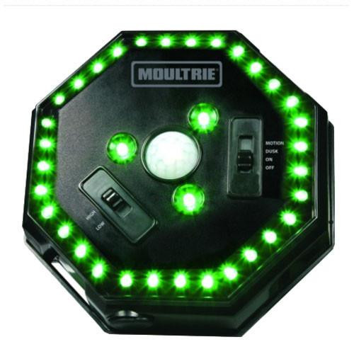 Moultrie Feeders Feeder Hog Light