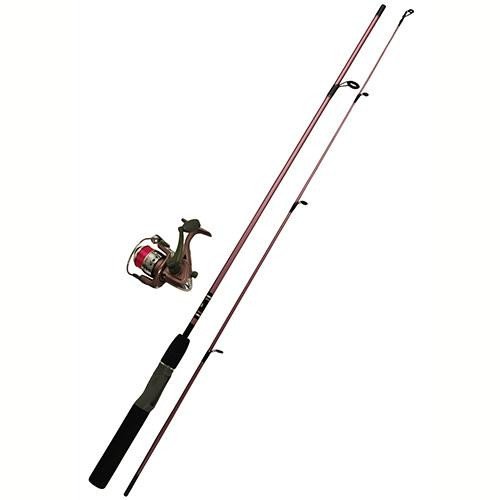 Zebco  Quantum Ladies Spinning Combo, 20sz 56 Length, w/Tackle