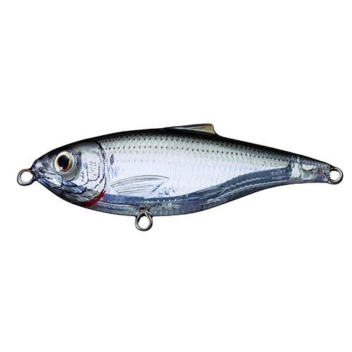 LiveTarget Lures Scaled Sardine Twitchbait  Saltwater, 3", #6 Hook, 0-1 Depth, Ghost/Natural