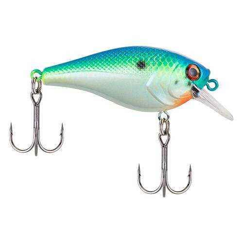 Berkley SquareBull Hard Bait 2 3/8" Length, 3'-6' Swimming Depth, 2 Hooks, Big Money, Per 1