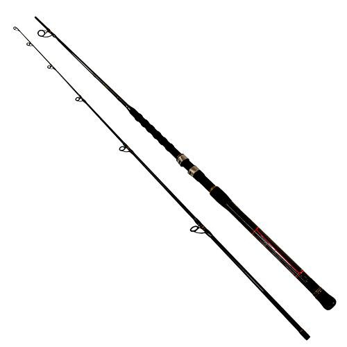 Penn Carnage II Surf Spinning Rod 9 Length, 2pc Rod, 8-20 lb Line Rate, Medium/Light Power, Moderate Fast Action