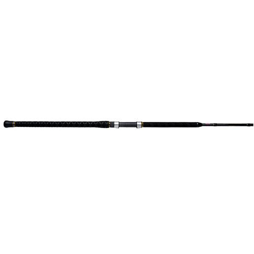 Penn Carnage II Surf Spinning Rod 11 2 Piece Rod, 20-50 lb Line Rate, Medium/Heavy Power, Moderate Fast Action
