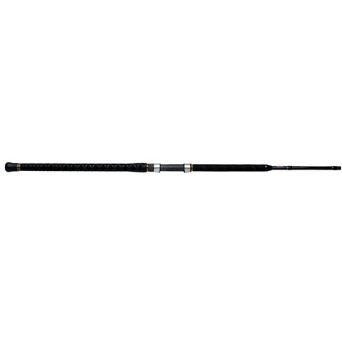 Penn Carnage II Surf Casting Rod 10 Length, 2 Piece Rod, 15-30 lb Line Rate, Medium Power, Moderate Fast Action