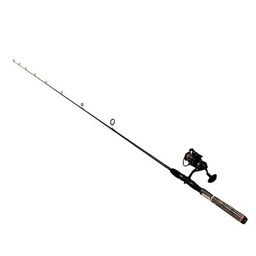 Penn Fierce II Spinning Combo 2000, 6.2:1 Gear Ratio, 66 1 Piece Rod, 4-10 lb Line Rate, Ambidextrous
