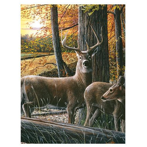 Rivers Edge Products 16"x12" LED Wall Art Deer