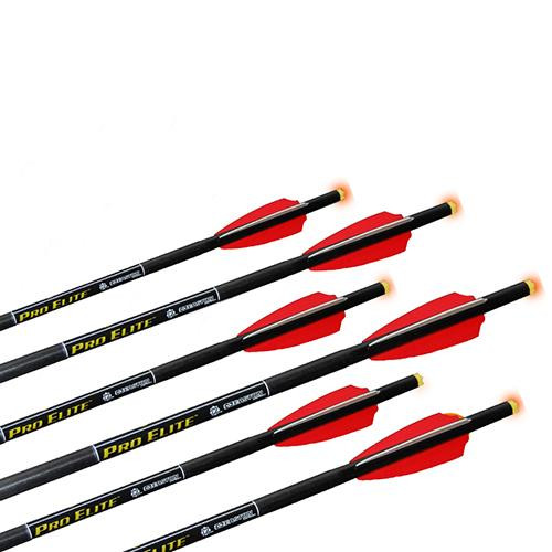 TenPoint Crossbow Technologies Omni-Brite 2.0 Lighted Arrow 22" Carbon, Pro-V, 6 Pack
