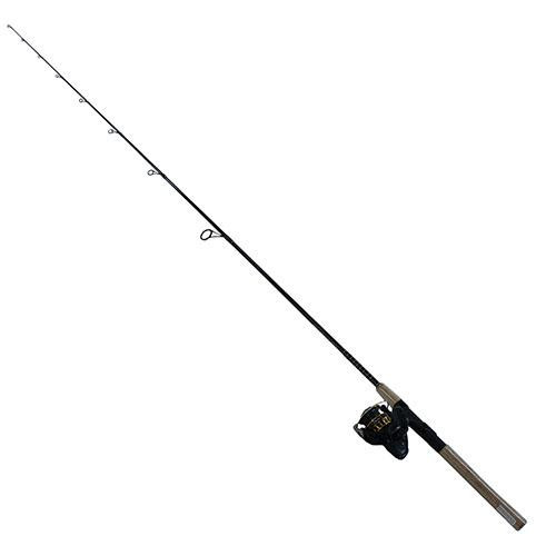 Daiwa BG Saltwater Pre-Mounted Combo 3000, 5.6:1 Gear Ratio, 6+1 Bearing, 1 Piece, Spinning