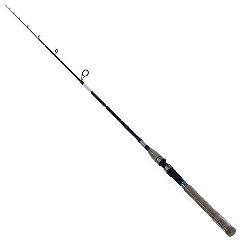 Daiwa Harrier Inshore Spinning Rod 7 Length, 1 Piece Rod, 10-20 Line Rating, Medium/Heavy Power, Fast Action