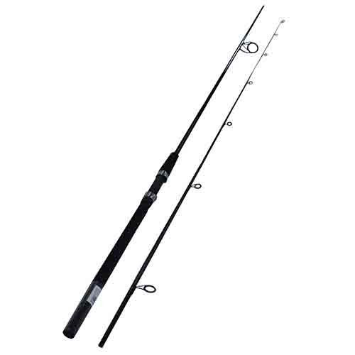 Daiwa Sealine Surf SLS Spinning Rod 10 Length, 2 Piece Rod, Light Power, Slow Action