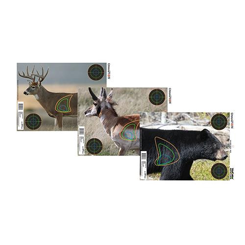 Champion Traps and Targets VisiShot Targets 18"x12" Real Life Big Game Targets, Pack of 12