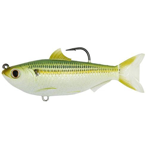 LiveTarget Lures Sardine Saltwater, 3 1/2", 4/0 Hook, Medium/Slow Sinking, Silver/Green