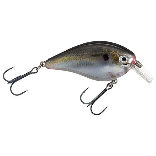Strike King Lures KVD Square Bill Silent Crankbaits Model 1.0, 2" Length, 3/8 oz, #6 Hook, Natural Shad, Package of 1