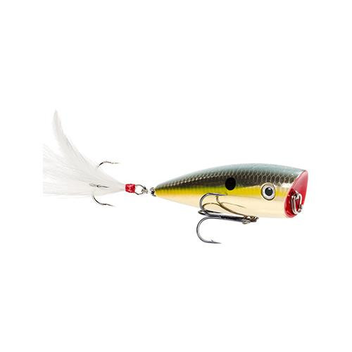 Strike King Lures KVD Splash Top water Lure 2 7/8" Length, 1/2 oz, #4 Hook, Goild Sexy Shad, Package of 1