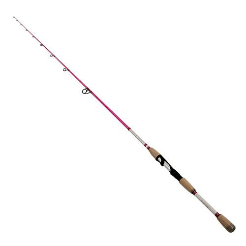 Eagle Claw Wright & McGill Saltwater Spinning Rod 76 Length, 1