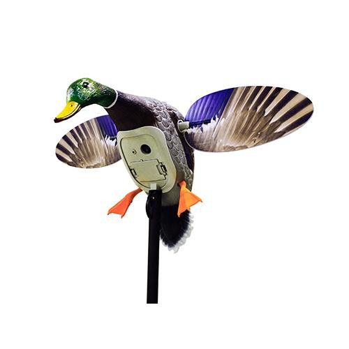 Mojo Decoys MOJO KING MALLARD