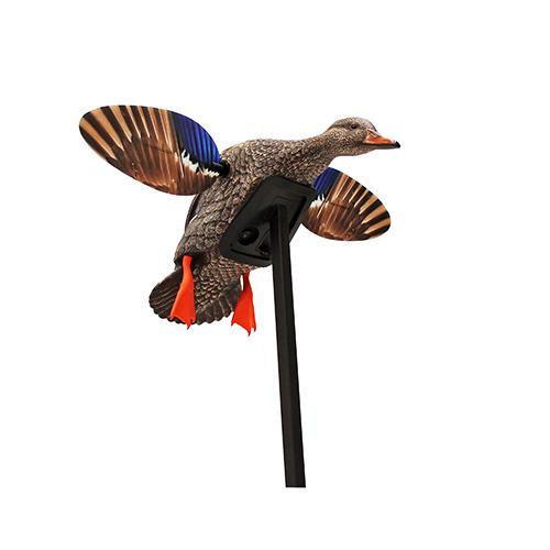 Mojo Decoys Mini Mallard Hen