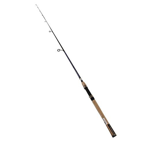 Daiwa Arid Coastal Inshore Saltwater Spinning Rod 66 Length, 1pc, 10-20 lb Line Rate, 1/2-1 1/2 oz Lure Rate, Medium/Heavy Power