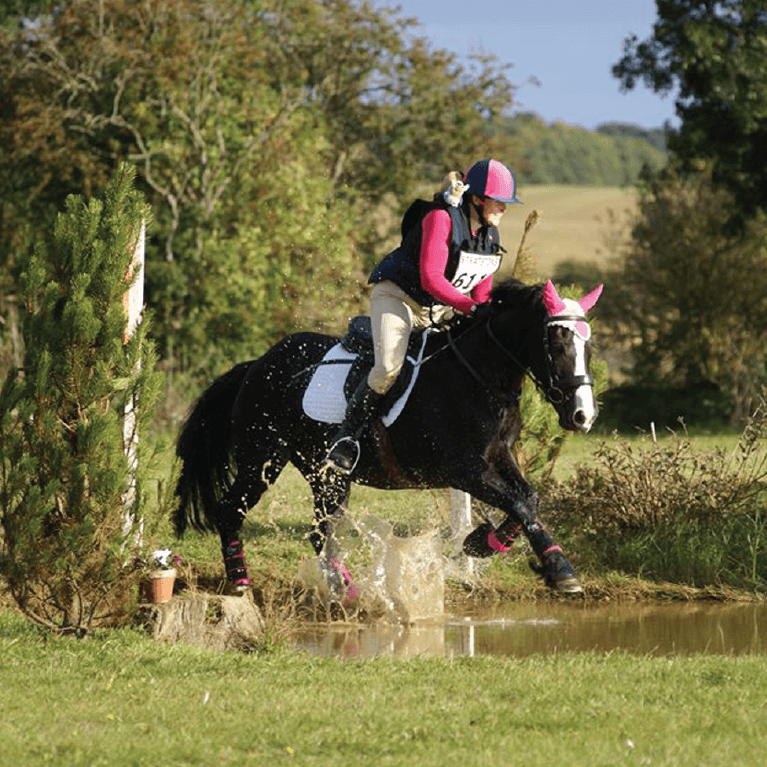 The Ultimate Equestrian Sports Bra Review 