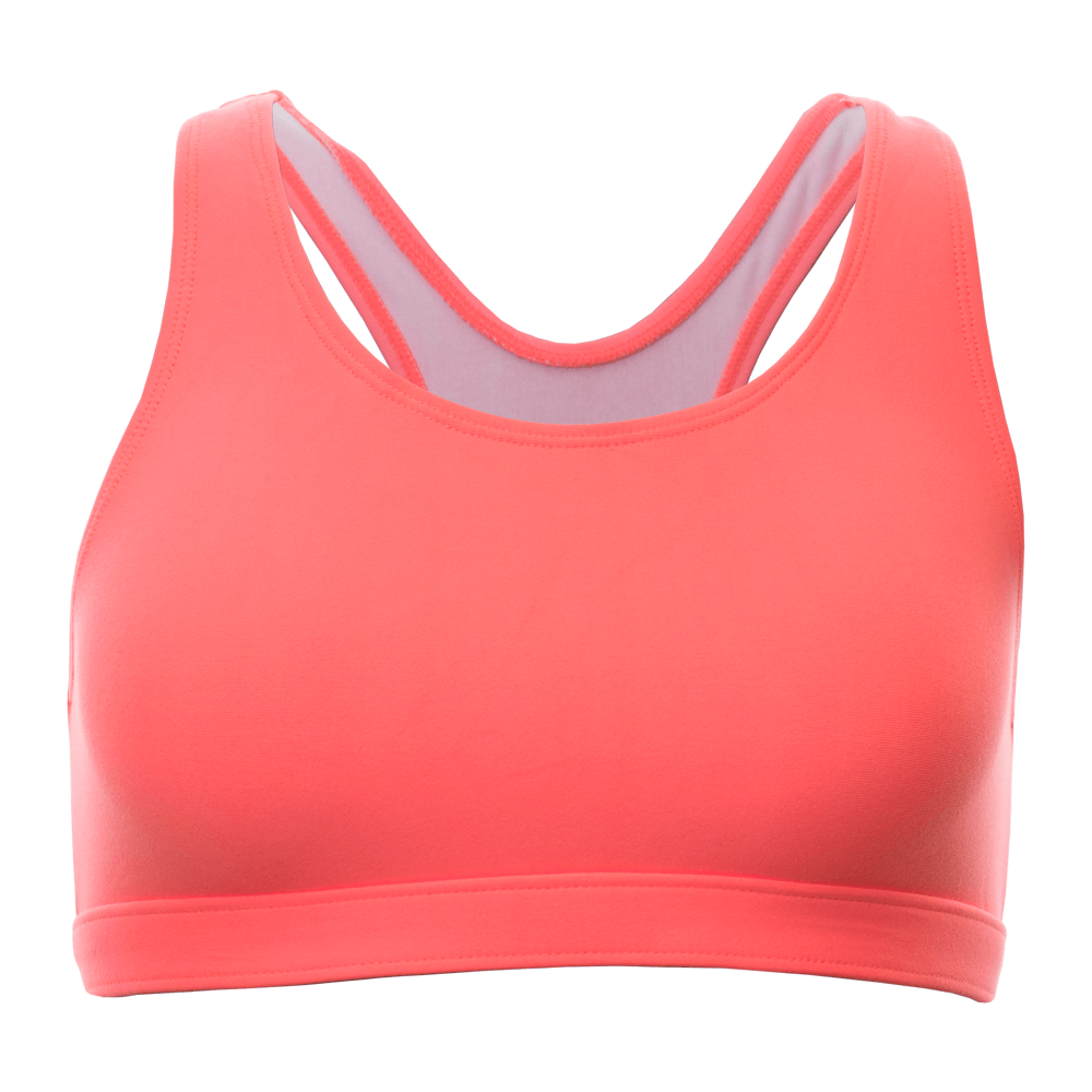 Product Review: Shefit Sports Bra from Boobydoo : The Pickled Ginger