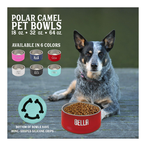 Personalized Insulated Pet Cat and Dog Bowl — Wichita Gift Company