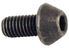 Precise Torx® Screw M5 x .80 - 2995-0508