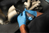 JET JAT-419, 1/4" Straight Composite Die Grinder - 505419