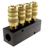 Coilhose Pneumatics Straight Manifold, 4 Outlets, 2 Inlets w/4 Connectors - 3043-15C