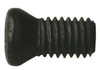 Walter Torx® Screw, FS2118