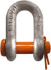 CM 5/16" Nominal Chain Size, 0.75 Ton Carbon Steel Round Chain Shackle 15/32" Diam, 3/8" Pin Diam, 17/32" Wide Inside Jaw, 17/32" Inside Width MC547G - 64618309