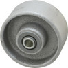Albion Casters 4" Diam x 2" Wide, Cast Iron Caster Wheel 1,000 Lb. Capacity, 2-3/16" Hub Length, 1/2" Axle Diam, Roller Bearing CA0420112 - 00996587