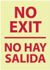 AccuformNMC No Exit, Pressure Sensitive Vinyl Exit Sign 14" Wide x 20" High, English/Spanish, Glow-in-the-Dark GL64PC - 83734509