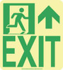 AccuformNMC Exit, Polyester Exit Sign 8" Wide x 9" High, Glow-in-the-Dark 50F-6SN-R - 86710688