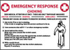 AccuformNMC "Emergency Response - Choking", 10" Long x 14" Wide, Rigid Plastic Safety Sign Rectangle, 0.05" Thick, Use for First Aid M458RB - 77557759