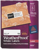 Avery Pack of (700), 1.333" x 4", White Polyester Shipping Labels For Laser Printers 05522 - 81629321