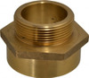 EVER-TITE Coupling 3 FNPT x 2-1/2 MNST Hydrant Hex Nipple Brass 3TFNFM3025F - 78661725