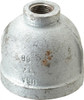 Value Collection 2 x 1/2" Galvanized Malleable Iron Pipe Reducing Coupling Threaded Ends, 300 Liquid & Gas psi, 300 Steam psi G240 50X15 - 74026329