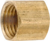 Anderson Metals 1/8-27 Female FNPT Industrial Pipe End Cap 1,000 psi, Brass 756108-02 - 55539480