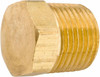 Anderson Metals 1/4-18 Male MNPT Industrial Pipe Hex Head Plug 1,000 psi, Brass 756125-04 - 55540827