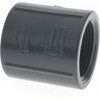 Value Collection 1-1/4" PVC Plastic Pipe Coupling Schedule 80, FIPT x FIPT End Connections 830-012 - 37000817