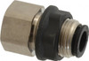 Legris 3/8" Outside Diam, 1/4 NPT, Brass Push-to-Connect Tube Female Bulkhead 290 Max psi 3036 60 14 - 79929659