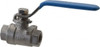 Midwest Control 3/8" Pipe, Stainless Steel Standard Ball Valve 2 Piece, Inline - One Way Flow, FNPT x FNPT Ends, Lever Handle, 1,000 WOG, 150 WSP SSR-38 - 05866785