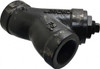 Legend Valve 2" Pipe, FNPT Ends, Cast Iron Y-Strainer 500 psi WOG Rating, 250 psi WSP Rating 105-528 - 36895951