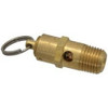 Kingston Valves 1/4" Inlet, ASME Safety Relief Valve 100 Max psi, Brass KSV10-2-100 - 08059917