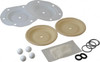 ARO Fluid Management PTFE Fluid Section Repair Kit For Use With Diaphragm Pumps 637429-TT - 60600418